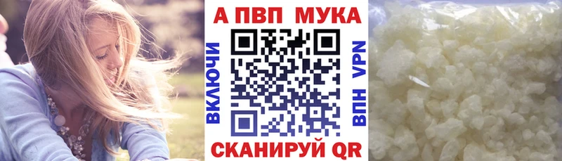 дарнет шоп  Ладушкин  A PVP СК 