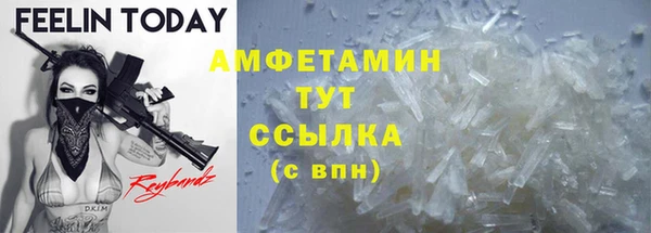 ГАЛЛЮЦИНОГЕННЫЕ ГРИБЫ Абаза