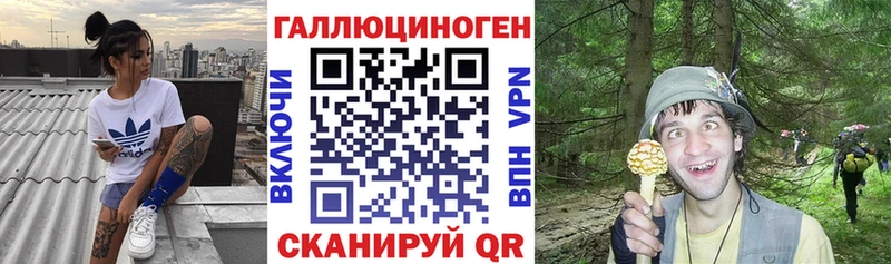 Галлюциногенные грибы мицелий  Ладушкин 
